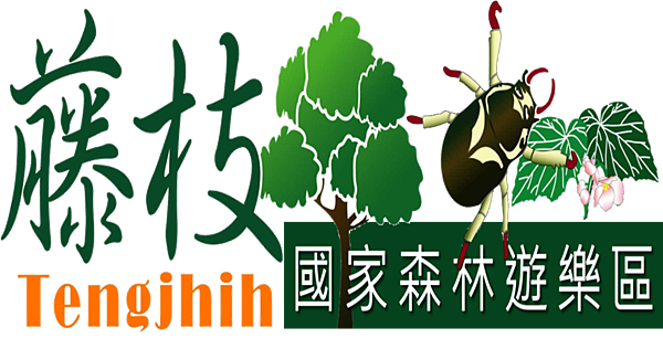 【高雄。桃源區】「藤枝森林遊樂區」強力推薦∣雲霧濛濛如仙境般