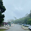 藤枝-2.jpg