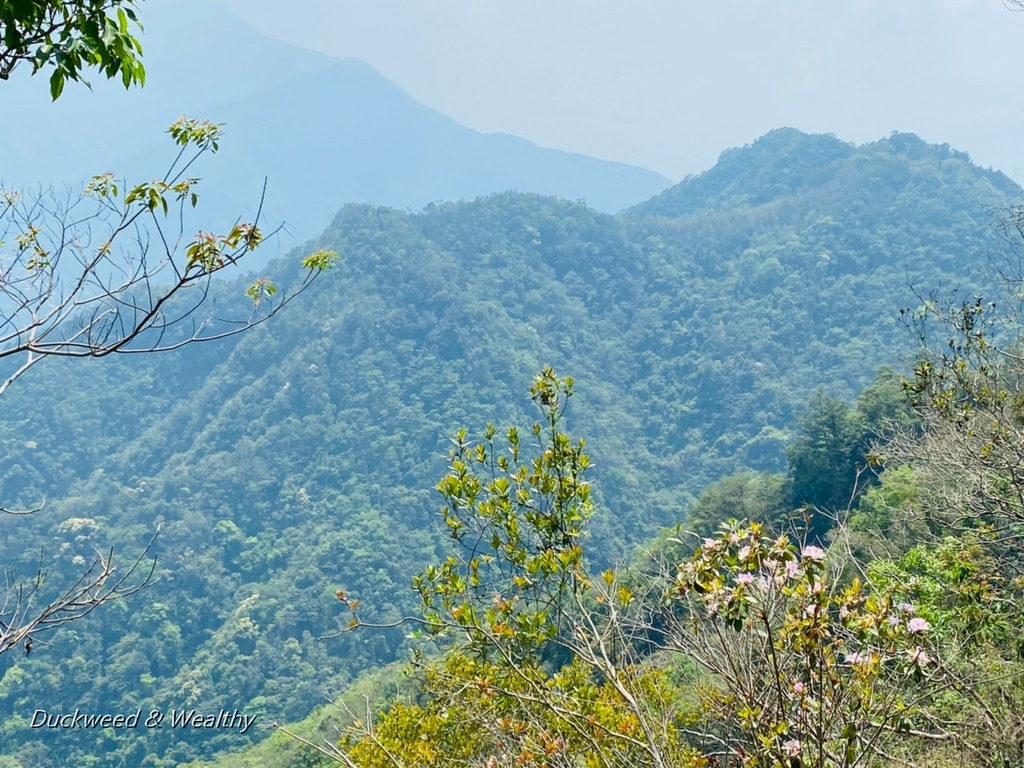 後尖山21.jpg