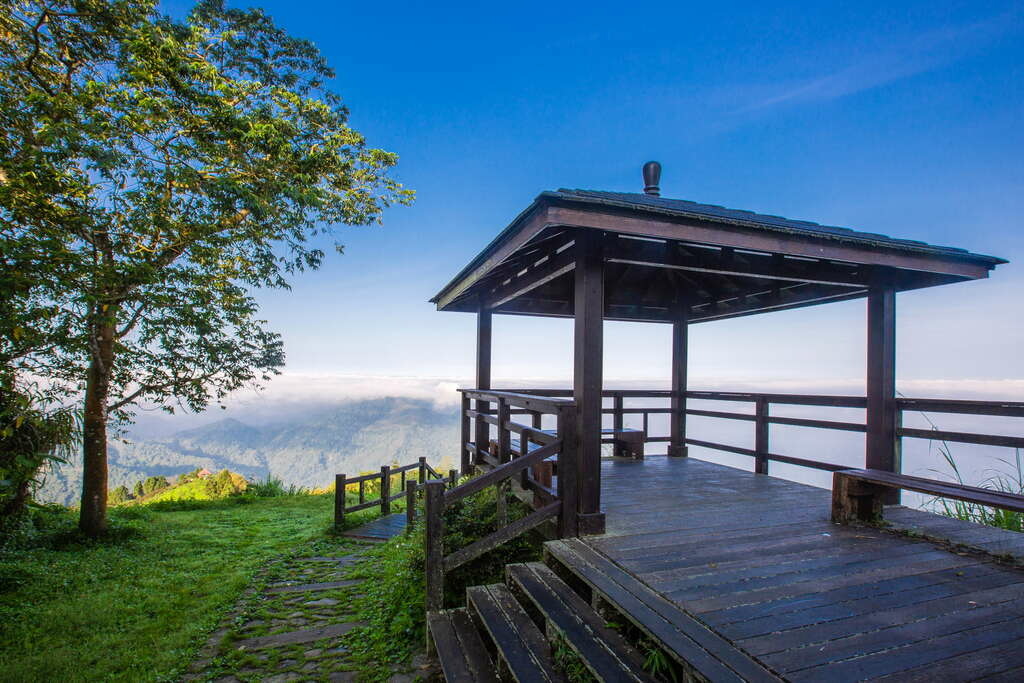 【嘉義。阿里山】隙頂「二延平步道」推薦|觀賞夕陽落日美景|一