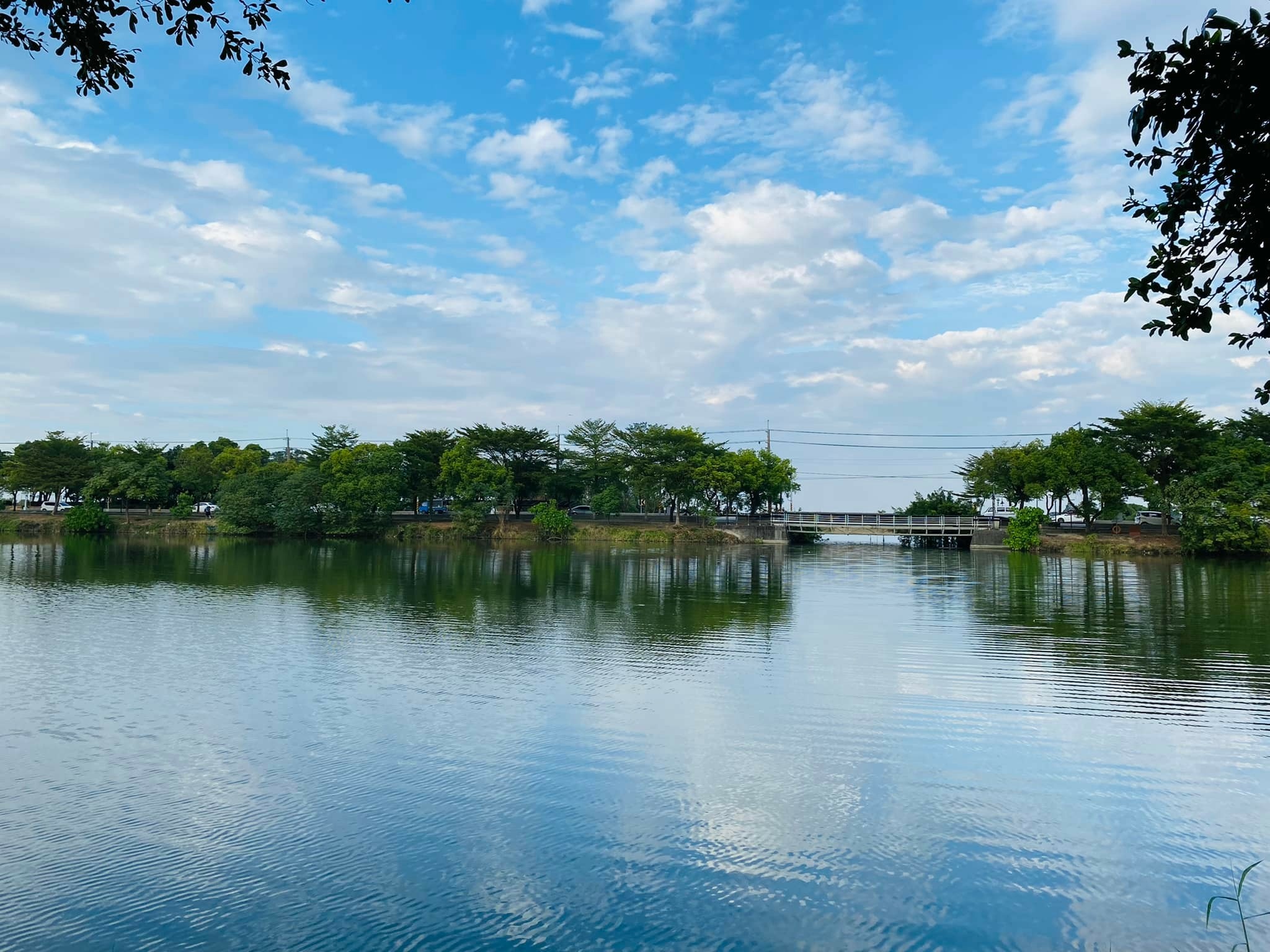 台南,官田菱角節,葫蘆埤自然公園,菱角,台南熱門資訊