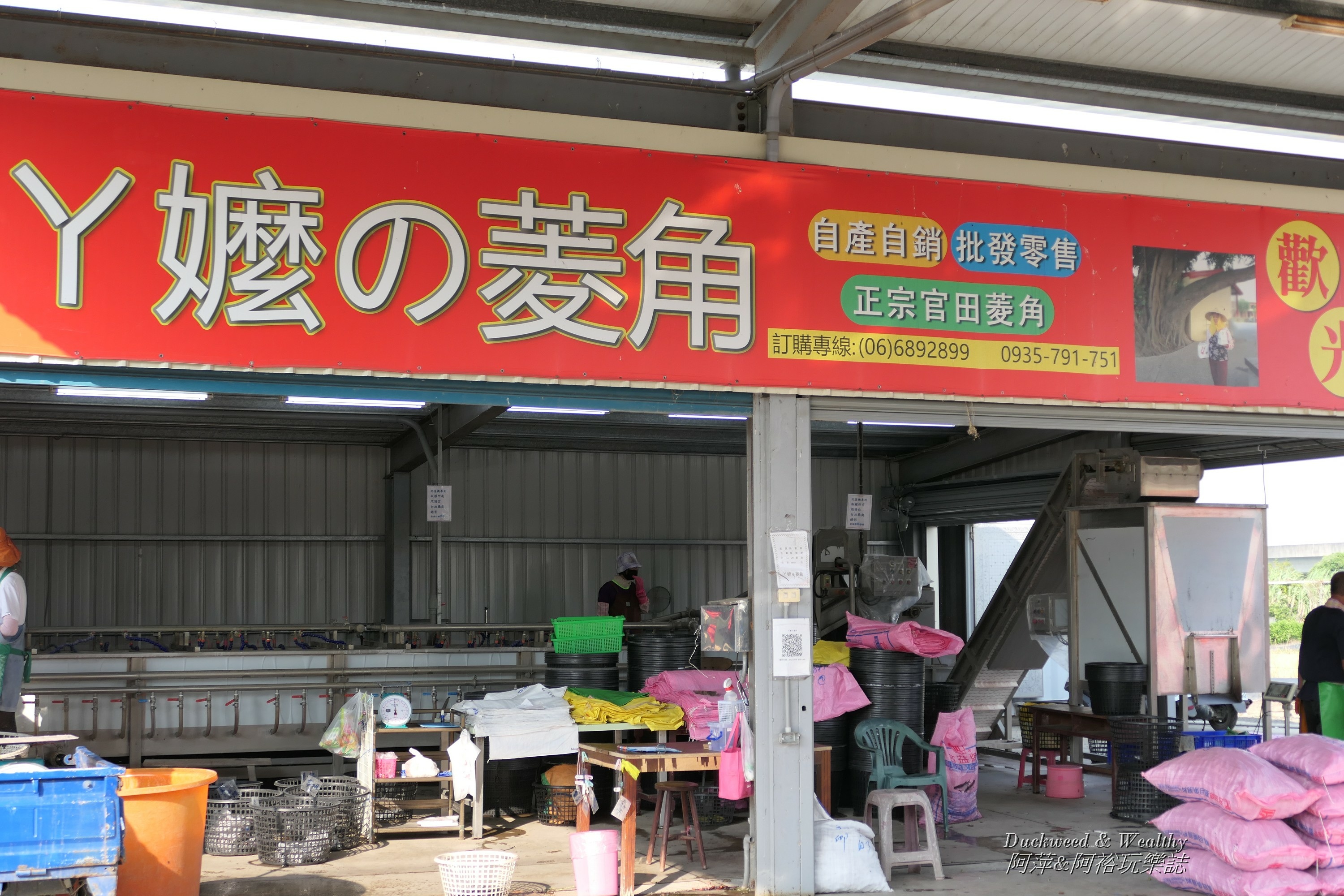 菱角節28.jpg