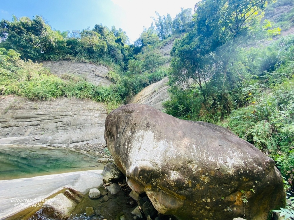 千層岩19.jpg