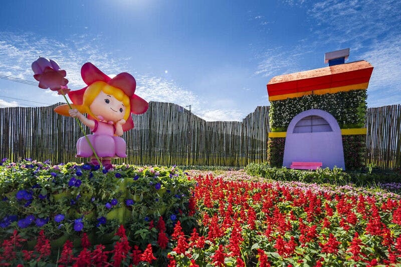 【台中國際花毯節】「台版普羅旺斯」六大主題療癒夢幻花海拍翻天