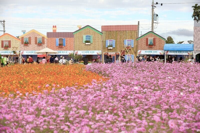 【台中國際花毯節】「台版普羅旺斯」六大主題療癒夢幻花海拍翻天