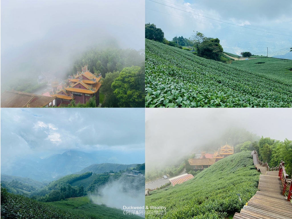 嘉義,二尖山步道,嘉義抹茶山,嘉義步道,嘉義爬山,二尖山,二尖山健行,嘉義景點,嘉義戶外景點,步道,健行,二尖山休閒茶園餐廳,嘉義戶外休閒