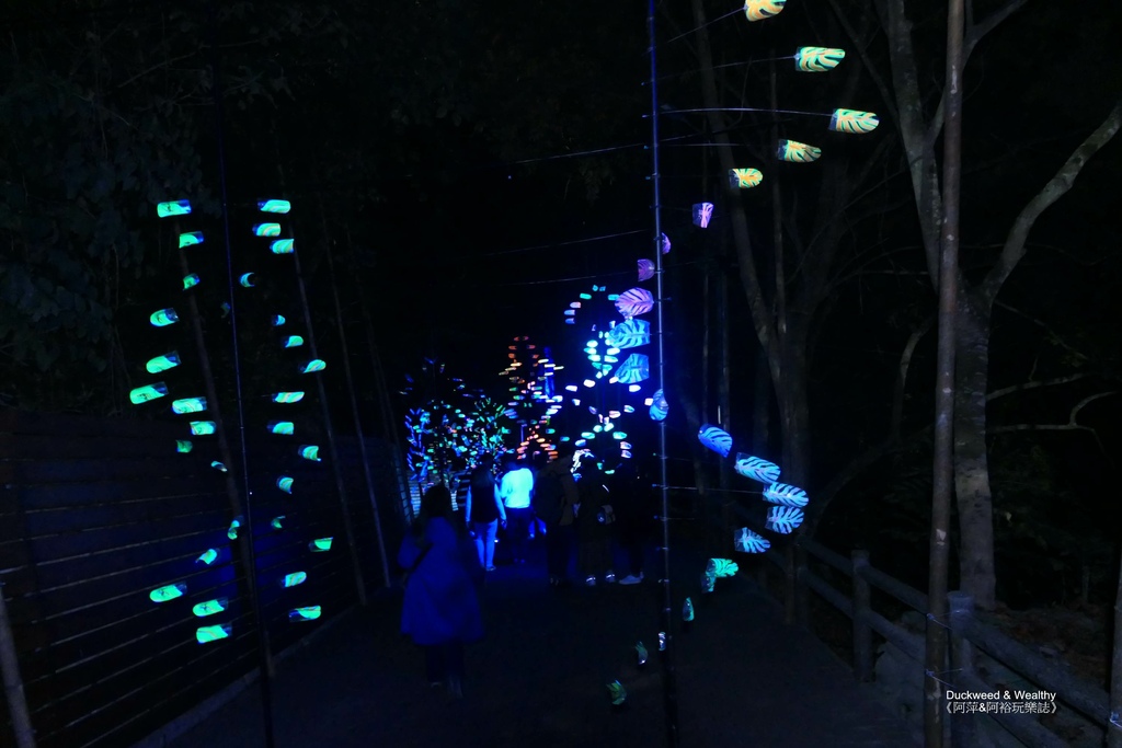 空山祭6.jpg 空山祭6.jpg