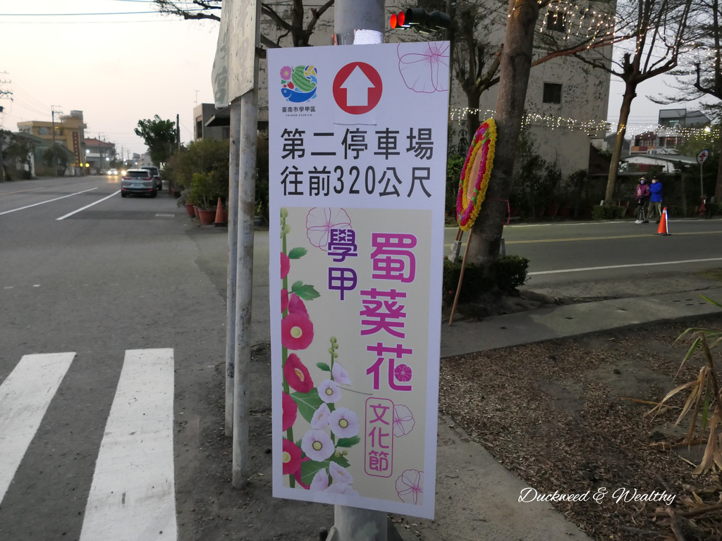 【台南學甲景點】學甲蜀葵花文化節推薦| 漫步在蜀葵花五顏六色