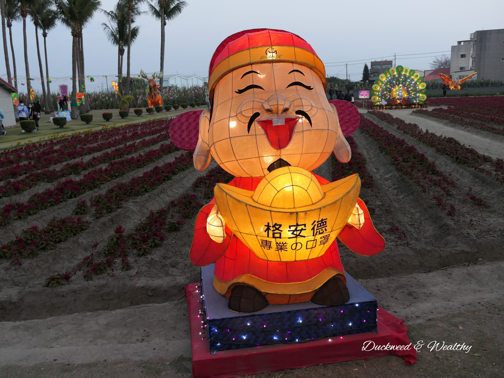 【台南學甲景點】學甲蜀葵花文化節推薦| 漫步在蜀葵花五顏六色