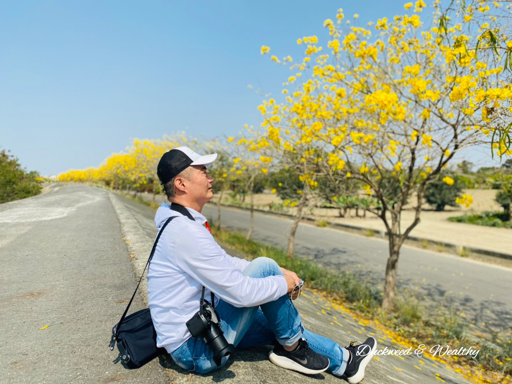 1678277918290.jpg 1678277918290.jpg