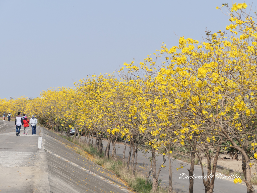 P1002010.jpg P1002010.jpg