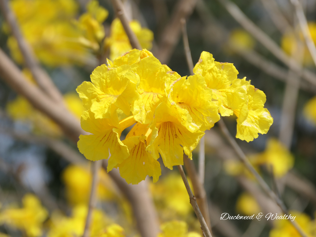 P1002011.jpg P1002011.jpg