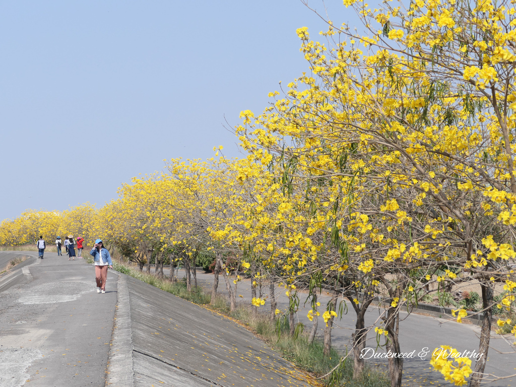 P1002014.jpg P1002014.jpg