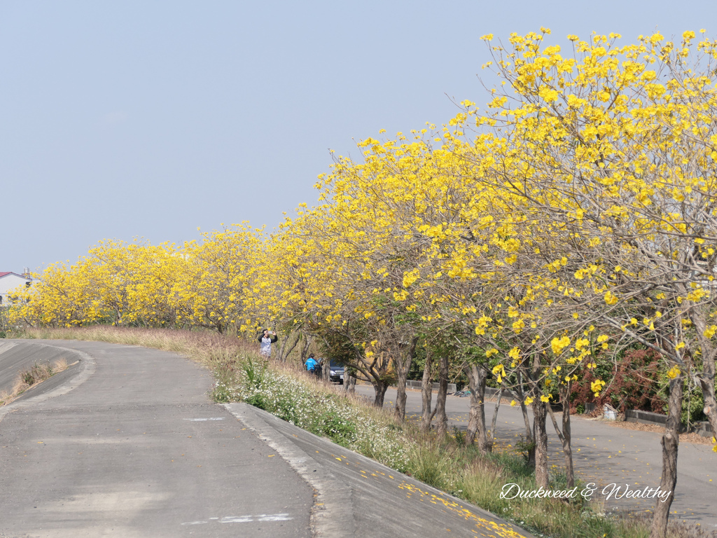 P1002021.jpg P1002021.jpg