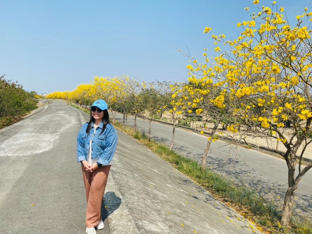 1678277909588.jpg 1678277909588.jpg