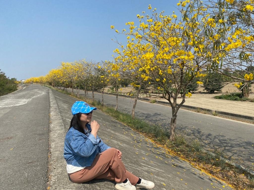 1678277921691.jpg 1678277921691.jpg