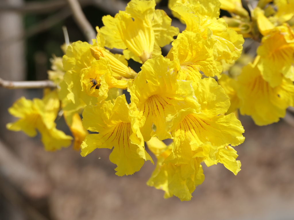 P1002012.JPG P1002012.JPG