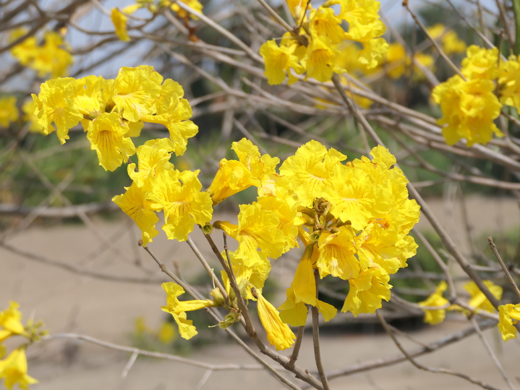 P1002019.JPG P1002019.JPG