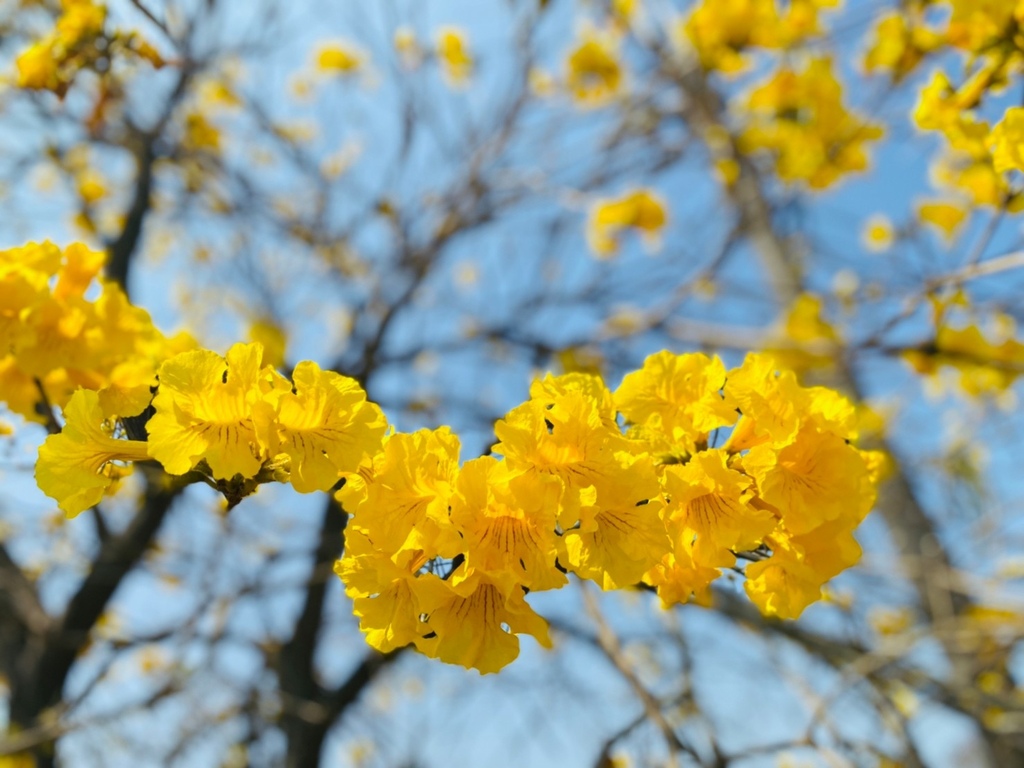 1678277906555.jpg 1678277906555.jpg