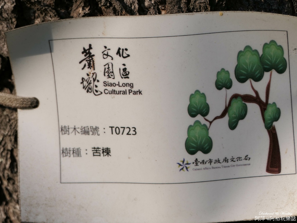 【台南佳里景點】》「蕭壠文化園區」免門票推薦|結合藝術展覽與