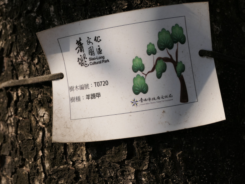 【台南佳里景點】》「蕭壠文化園區」免門票推薦|結合藝術展覽與