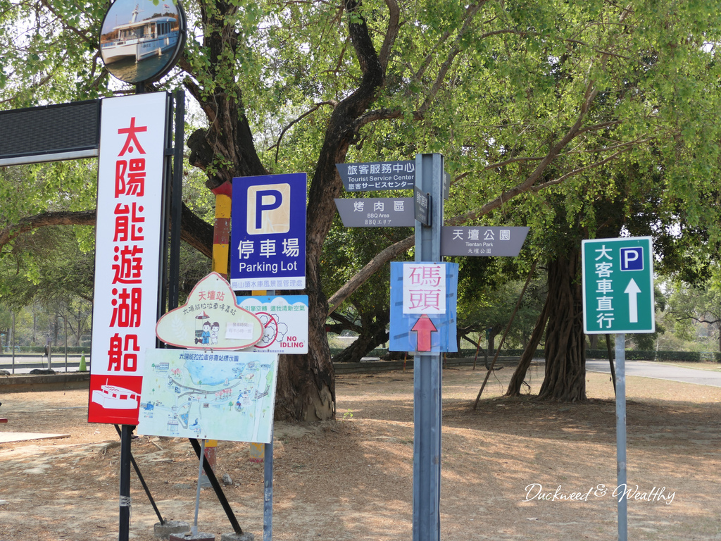 【台南景點】「烏山頭水庫」南洋櫻盛開賞櫻推薦∣走在香榭大道飄