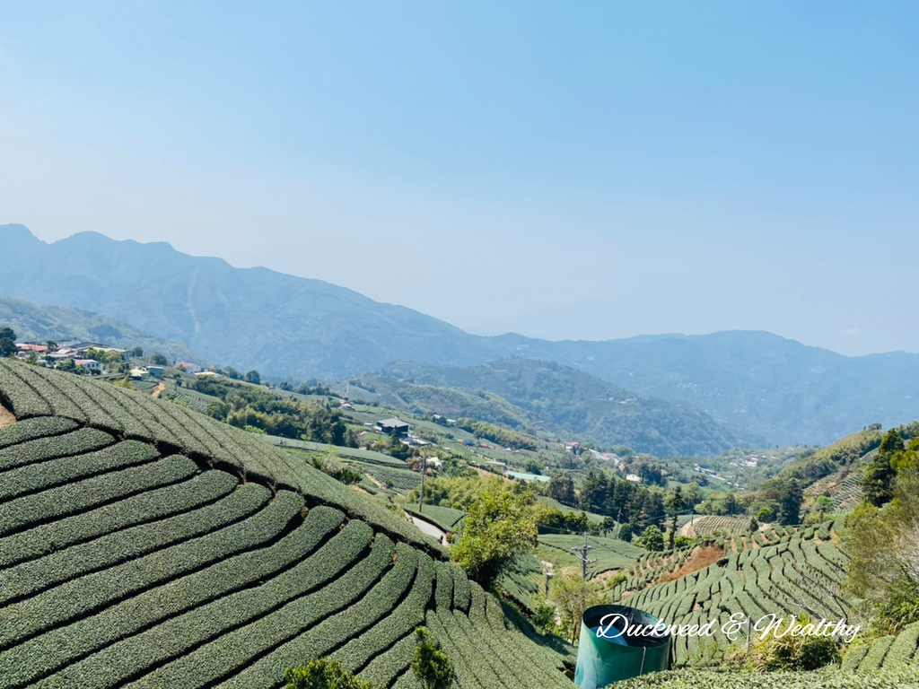 【嘉義梅山景點】瑞峰海鼠山1314「一生一世」觀景台∣131
