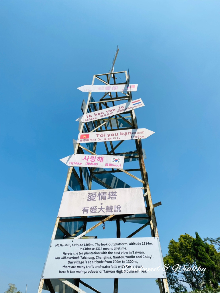 【嘉義梅山景點】瑞峰海鼠山1314「一生一世」觀景台∣131