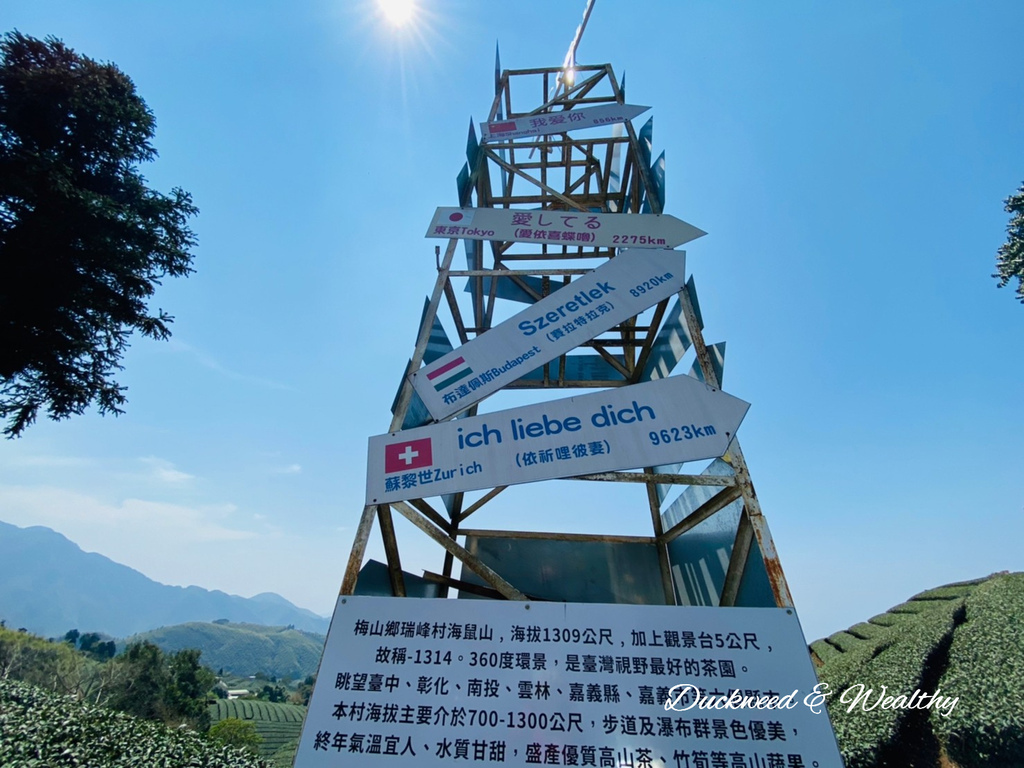 【嘉義梅山景點】瑞峰海鼠山1314「一生一世」觀景台∣131