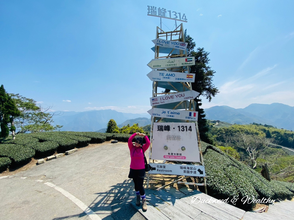 【嘉義梅山景點】瑞峰海鼠山1314「一生一世」觀景台∣131