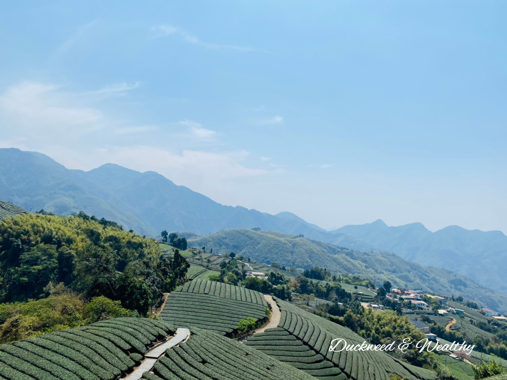 【嘉義梅山景點】瑞峰海鼠山1314「一生一世」觀景台∣131