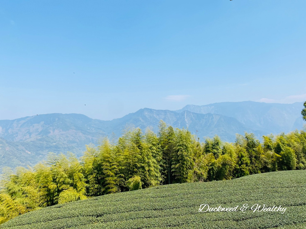 【嘉義梅山景點】瑞峰海鼠山1314「一生一世」觀景台∣131