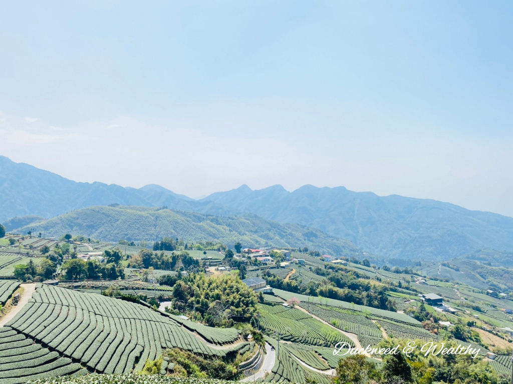 【嘉義梅山景點】瑞峰海鼠山1314「一生一世」觀景台∣131