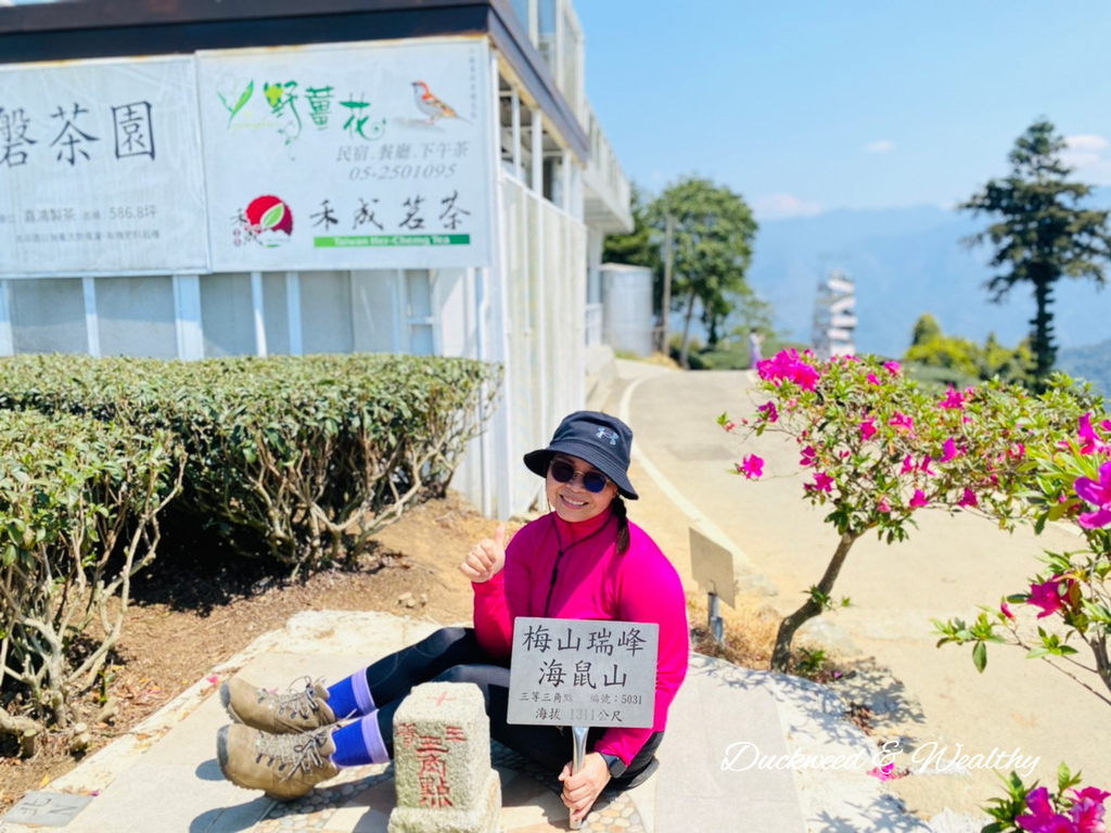 【嘉義梅山景點】瑞峰海鼠山1314「一生一世」觀景台∣131