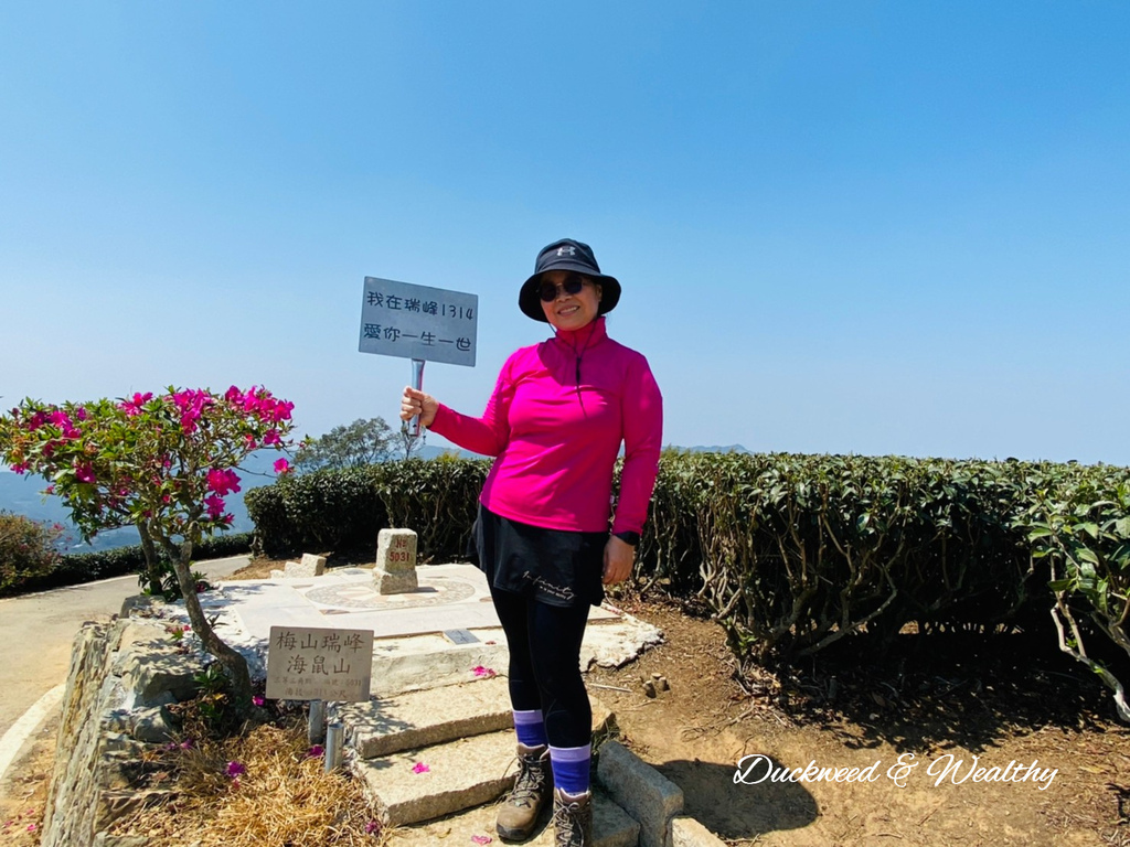 【嘉義梅山景點】瑞峰海鼠山1314「一生一世」觀景台∣131