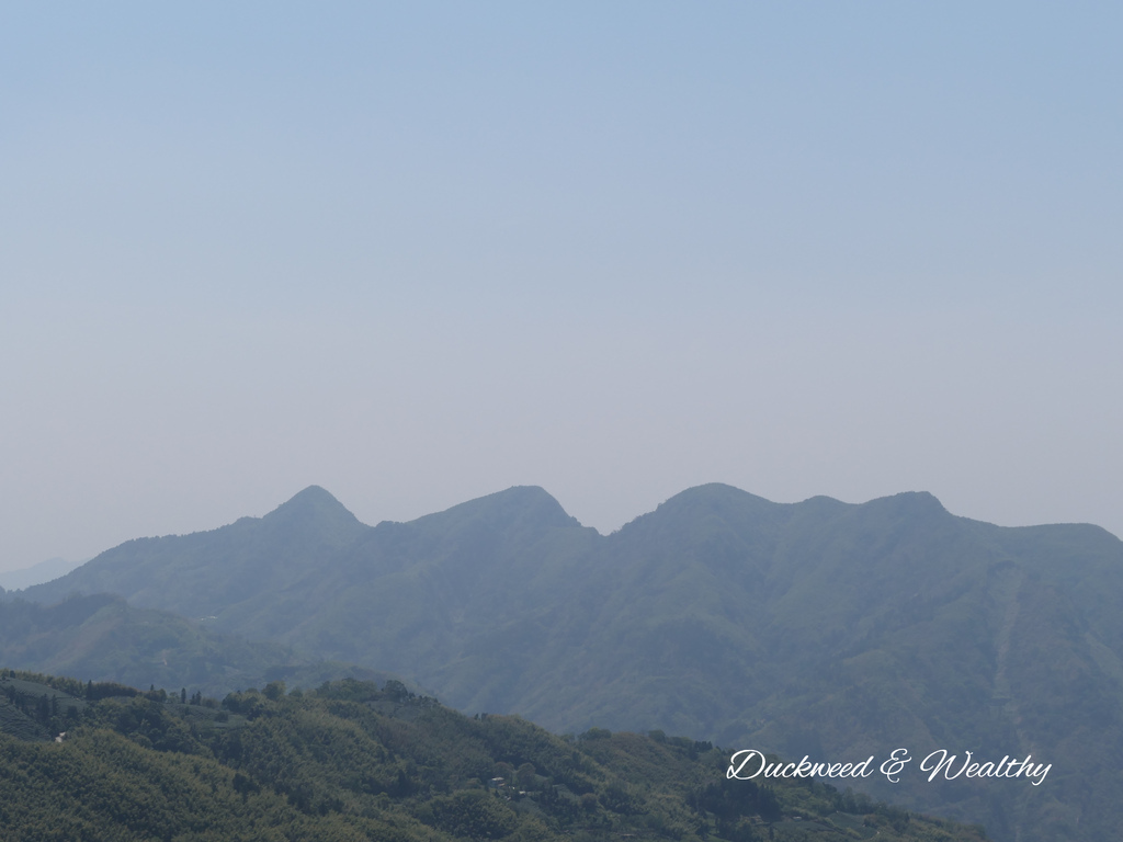 【嘉義梅山景點】瑞峰海鼠山1314「一生一世」觀景台∣131