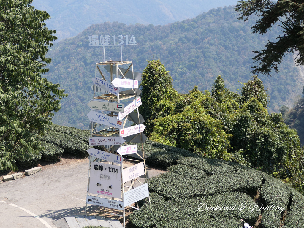 【嘉義梅山景點】瑞峰海鼠山1314「一生一世」觀景台∣131