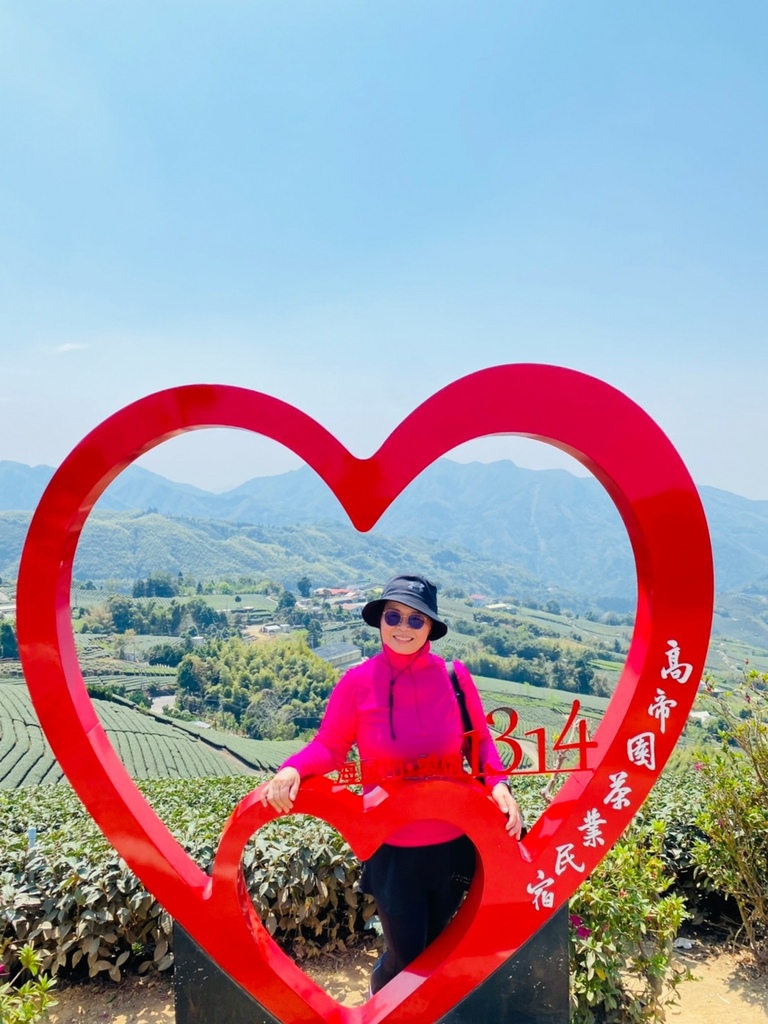 【嘉義梅山景點】瑞峰海鼠山1314「一生一世」觀景台∣131