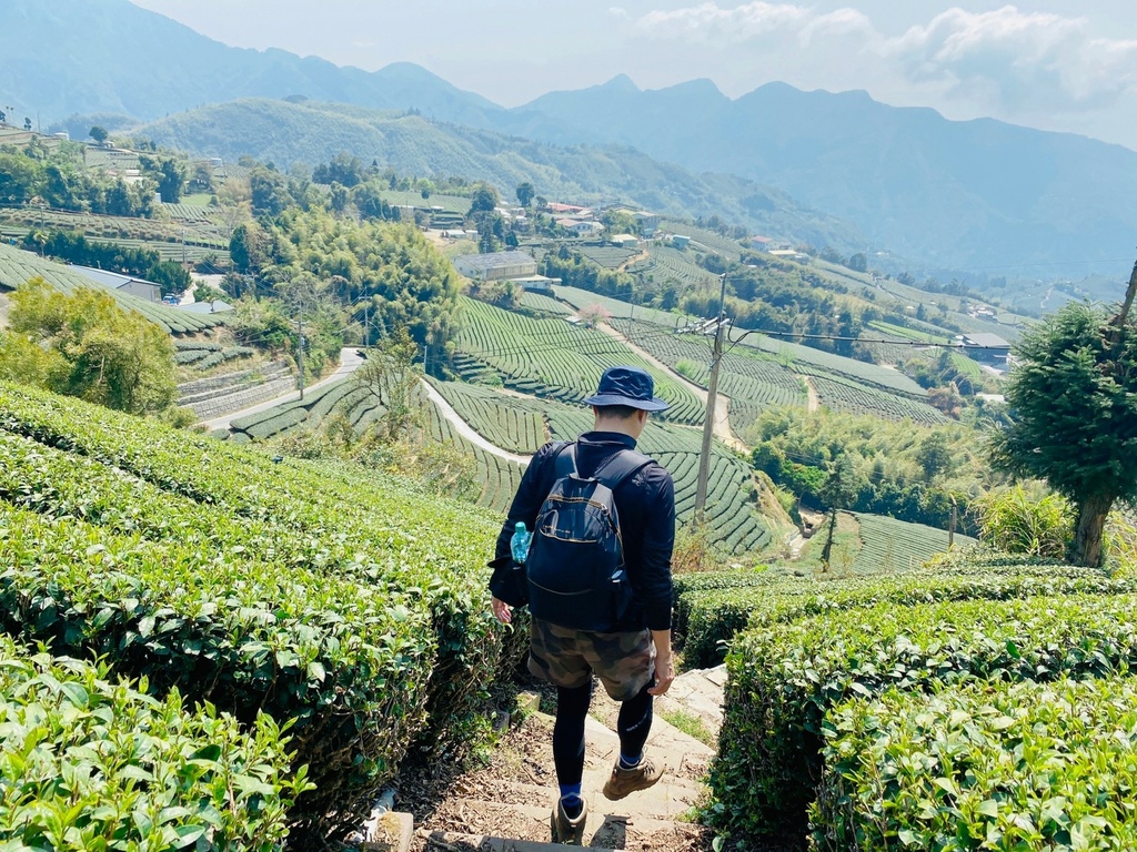 【嘉義梅山景點】瑞峰海鼠山1314「一生一世」觀景台∣131