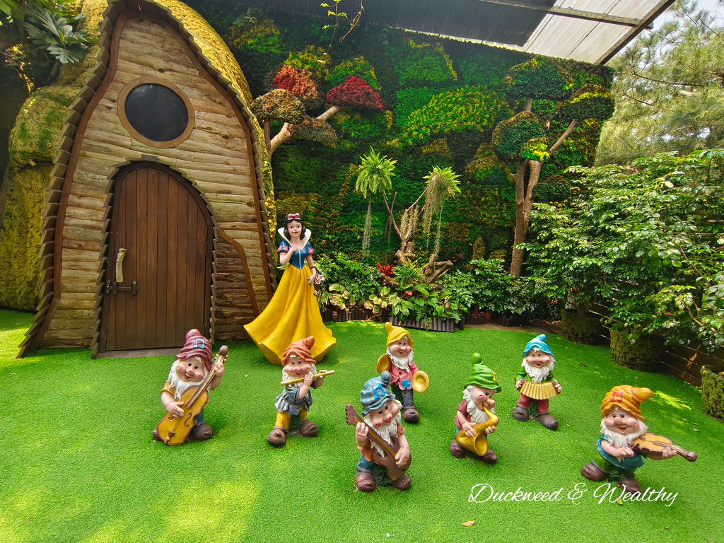 【苗栗卓蘭旅遊】「花露休閒農場」風情萬種「繡球花季」賞花景點