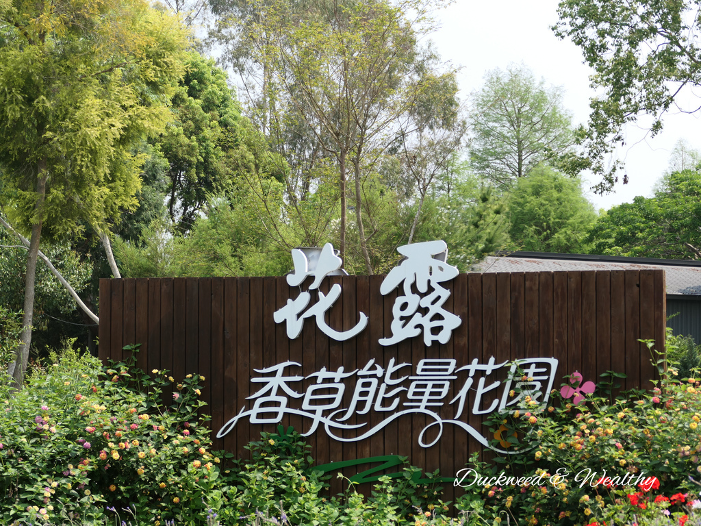 【苗栗卓蘭旅遊】「花露休閒農場」風情萬種「繡球花季」賞花景點