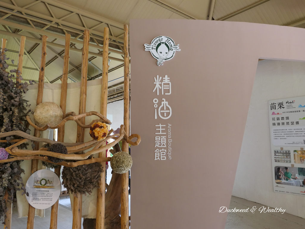 【苗栗卓蘭旅遊】「花露休閒農場」風情萬種「繡球花季」賞花景點