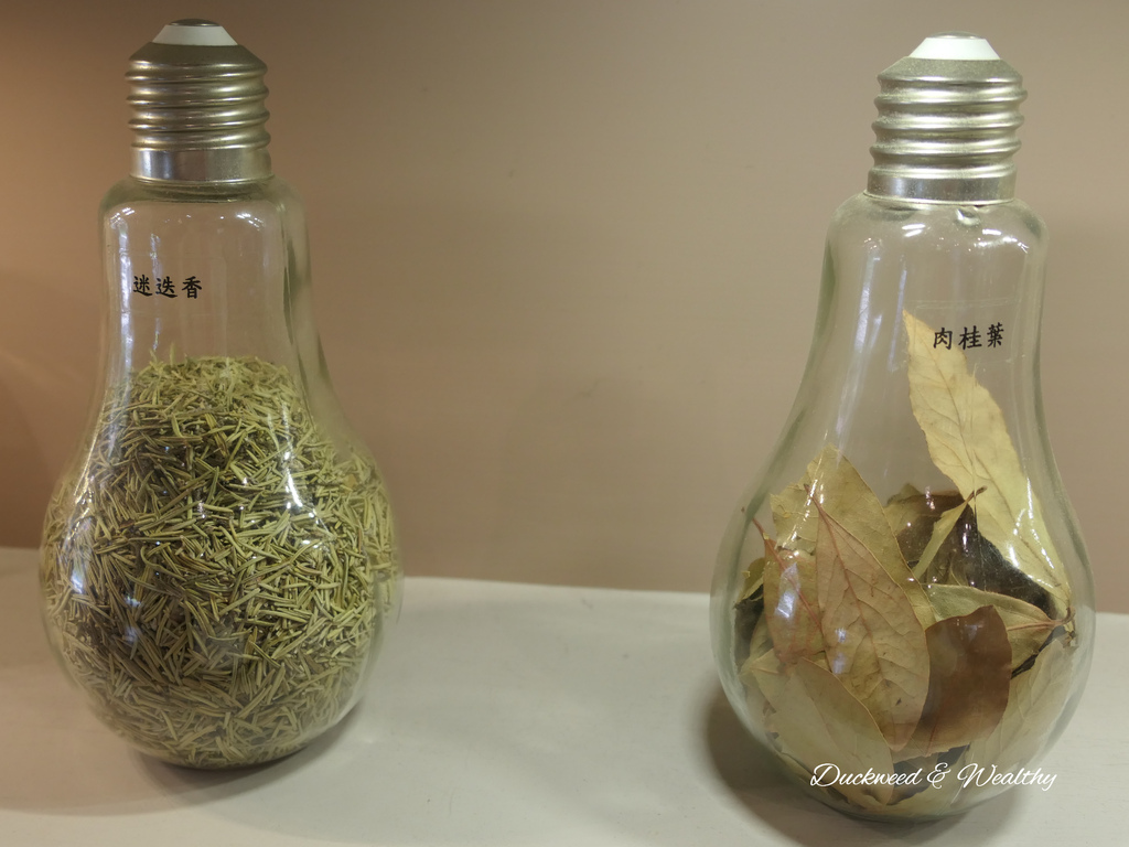 【苗栗卓蘭旅遊】「花露休閒農場」風情萬種「繡球花季」賞花景點