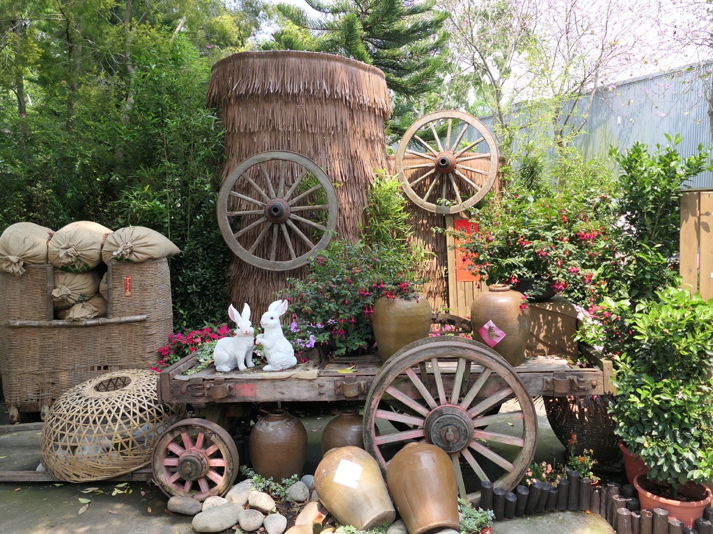 【苗栗卓蘭旅遊】「花露休閒農場」風情萬種「繡球花季」賞花景點