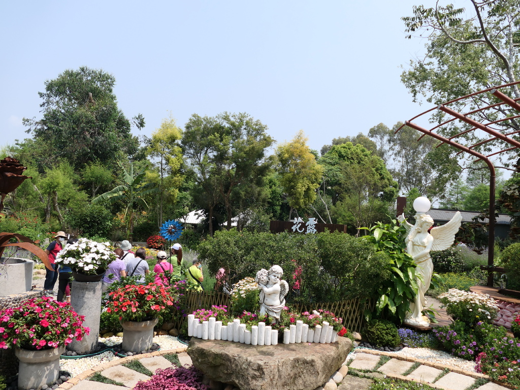 【苗栗卓蘭旅遊】「花露休閒農場」風情萬種「繡球花季」賞花景點