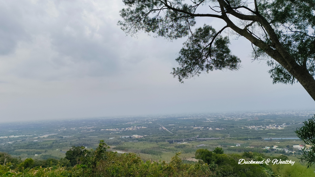 【雲林.古坑景點】攀登健走「荷苞山登山步道」眺望古坑賞桐花之