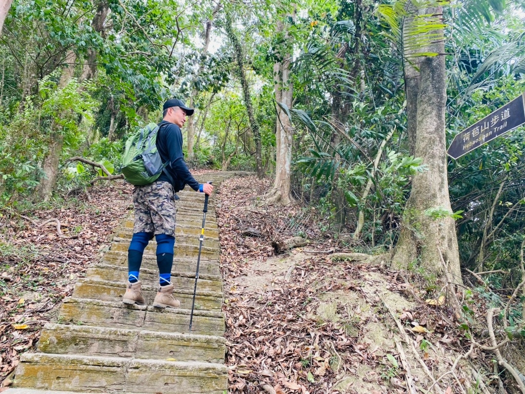 【雲林.古坑景點】攀登健走「荷苞山登山步道」眺望古坑賞桐花之