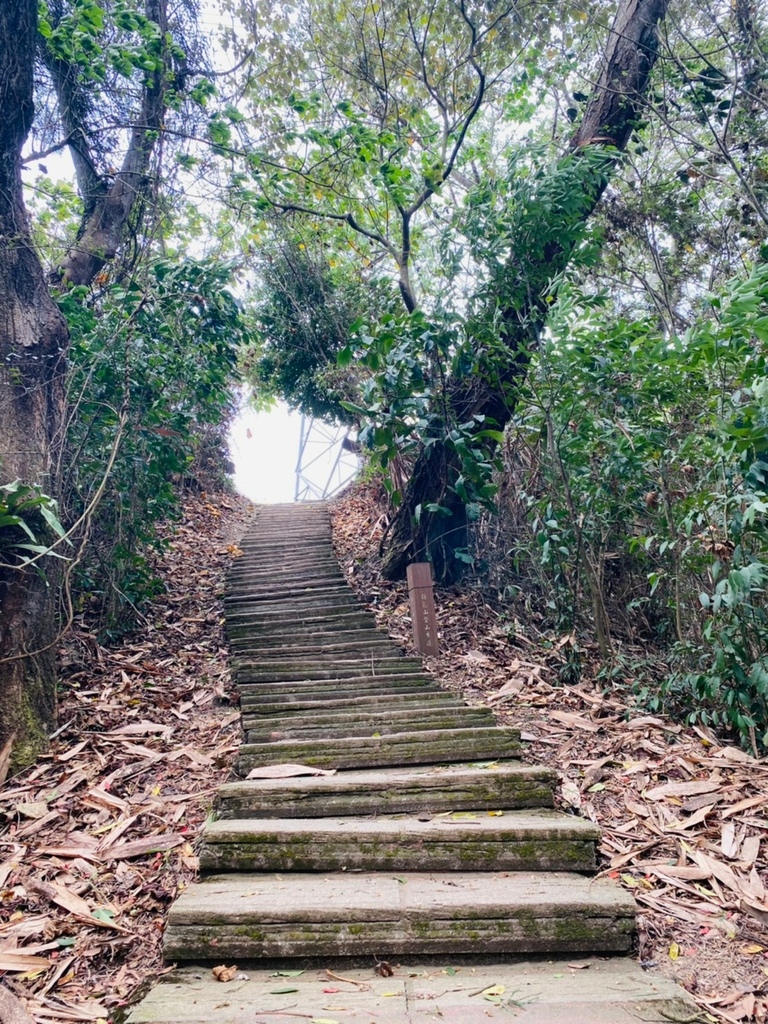 【雲林.古坑景點】攀登健走「荷苞山登山步道」眺望古坑賞桐花之