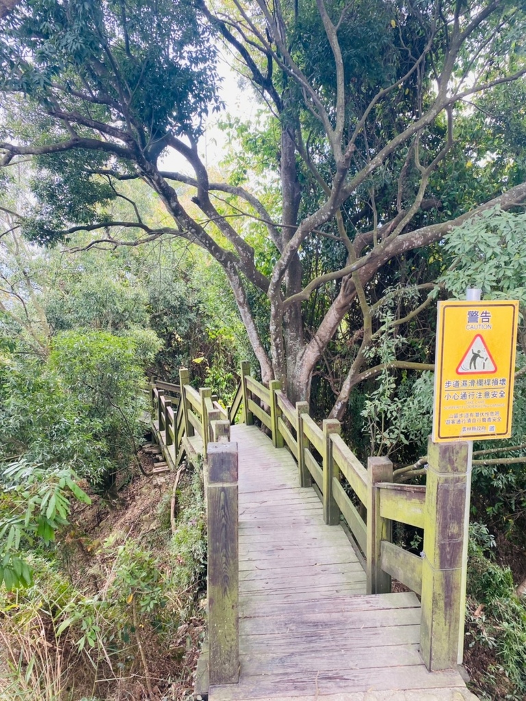 【雲林.古坑景點】攀登健走「荷苞山登山步道」眺望古坑賞桐花之