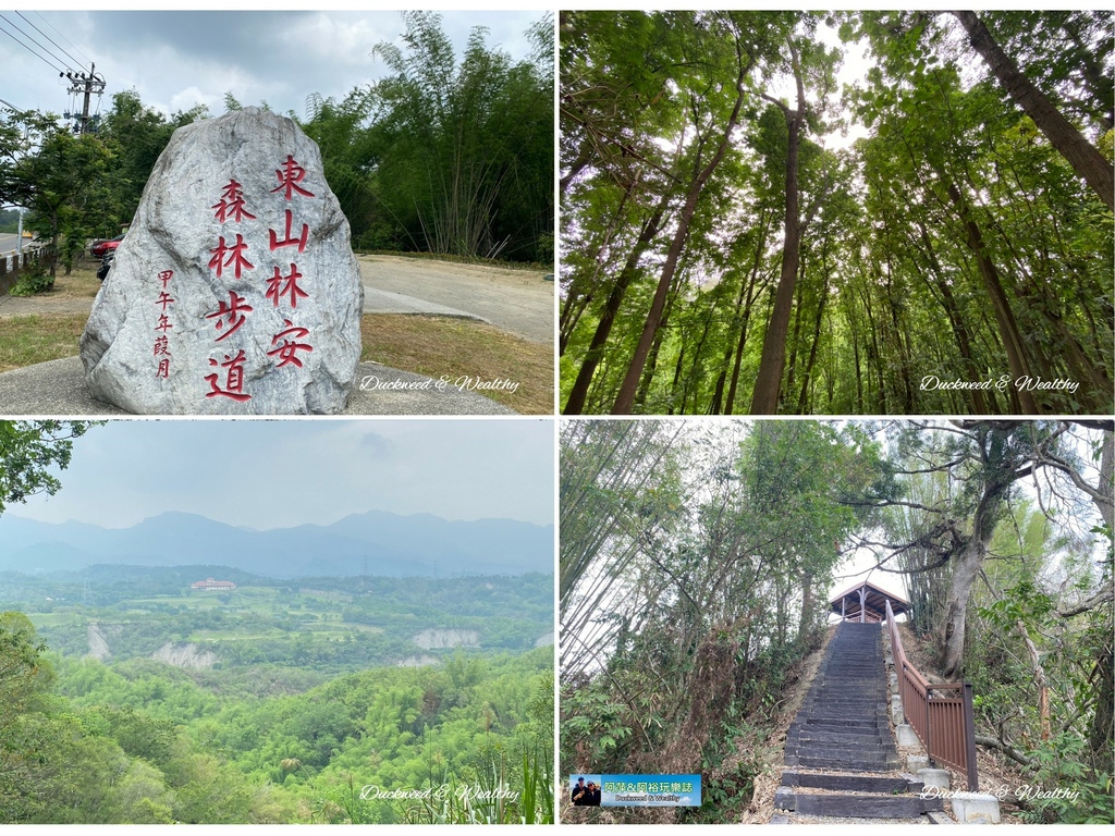 台南,東山,台南爬山,東山林安森林步道,林安森林步道,森林步道,森林,台南步道,台南景點